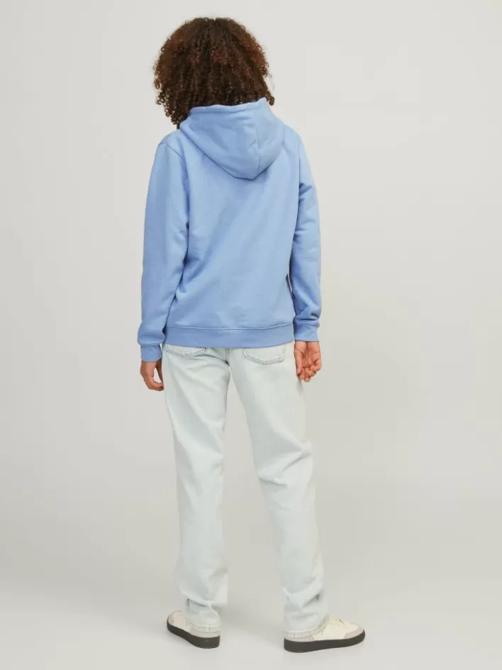 Women JACK & JONES Sweatshirts | JXABBIE Hoodie