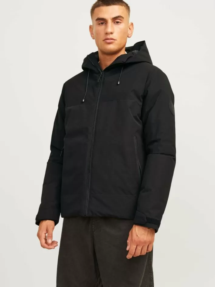 JACK & JONES Jackets | Padded jacket