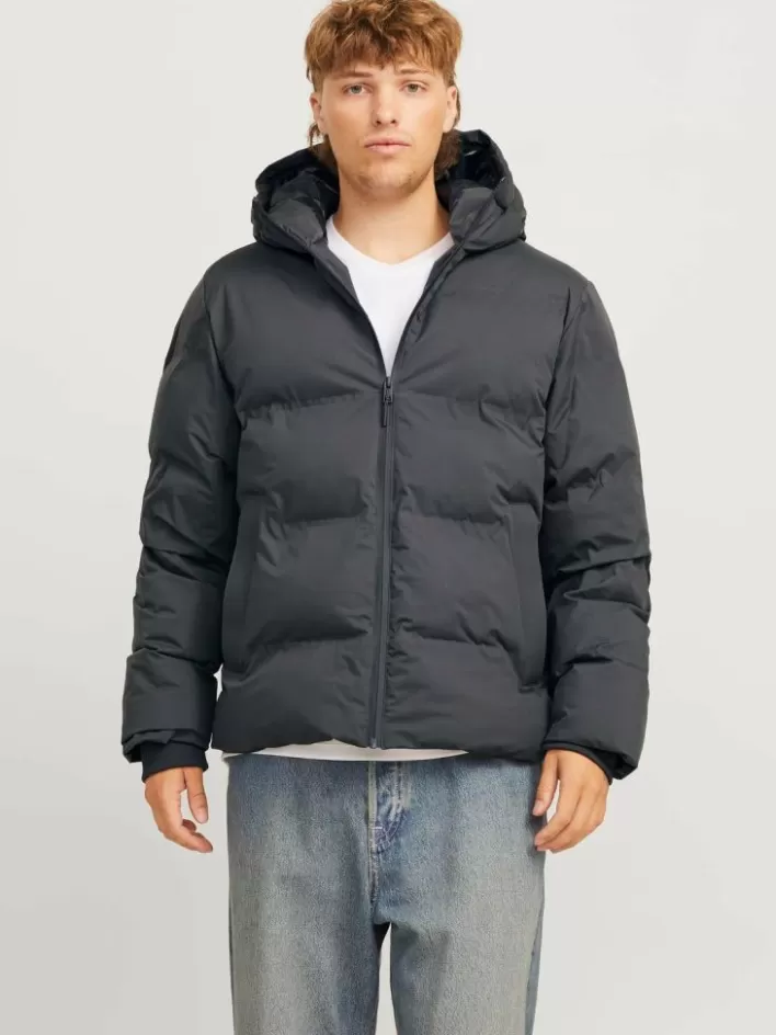 JACK & JONES Jackets | Puffer jacket