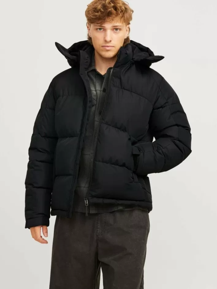 JACK & JONES Jackets | Puffer jacket