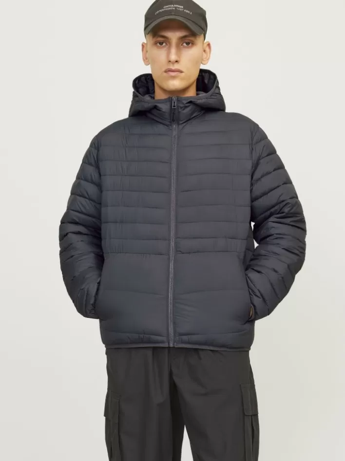 JACK & JONES Jackets | Puffer jacket
