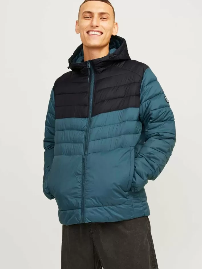 JACK & JONES Jackets | Puffer jacket