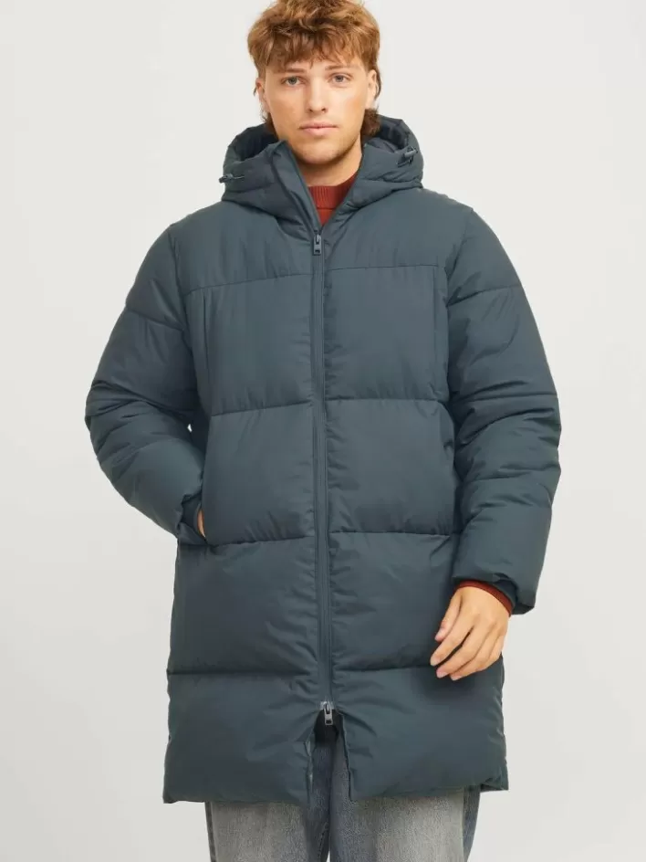 JACK & JONES Jackets | Puffer jacket