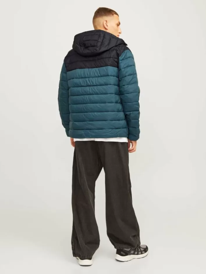 JACK & JONES Jackets | Puffer jacket