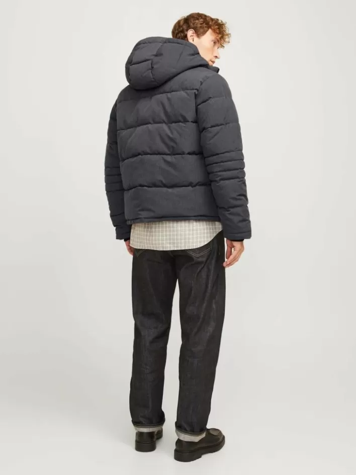 JACK & JONES Jackets | Puffer jacket