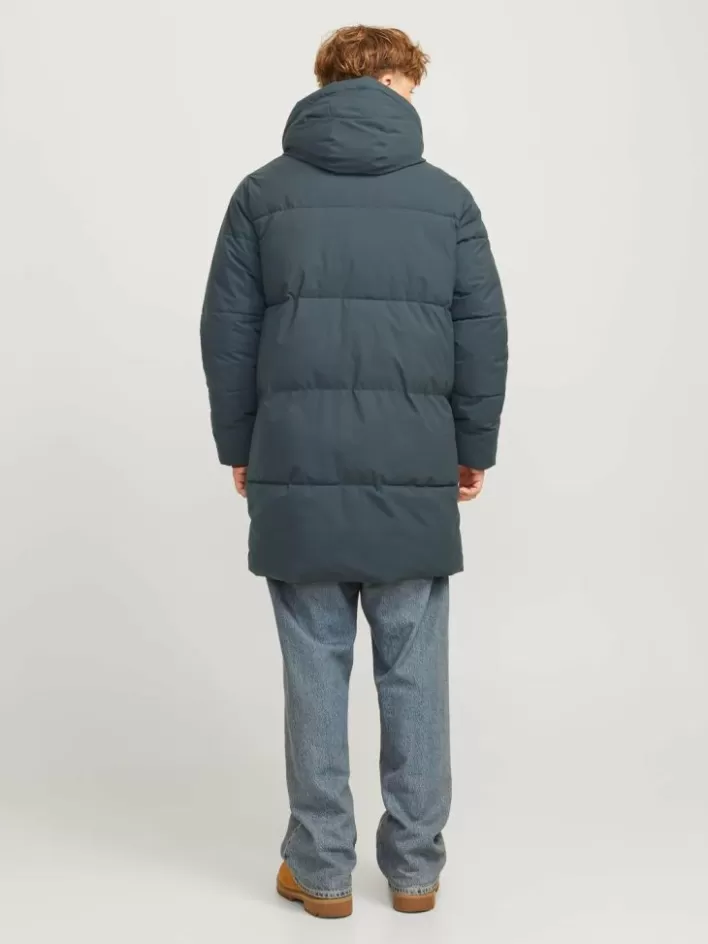 JACK & JONES Jackets | Puffer jacket